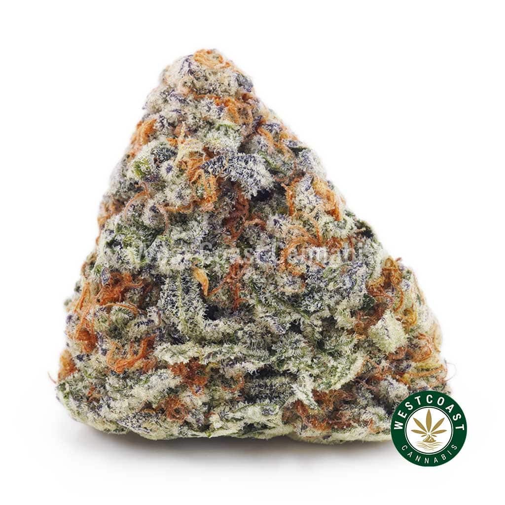 Astro Cookies AA