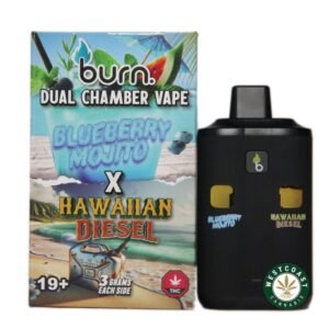 Burn Extracts – Dual Chamber Disposable Vape – Blueberry Mojito + Hawaiian Diesel (3+3 Gram)