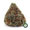 Chocolope AA