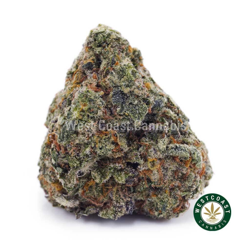 Cookies Kush AAA