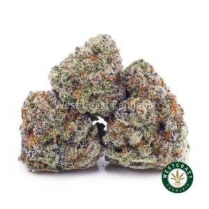 Forum Cut Cookies AAAA (Popcorn Nugs)