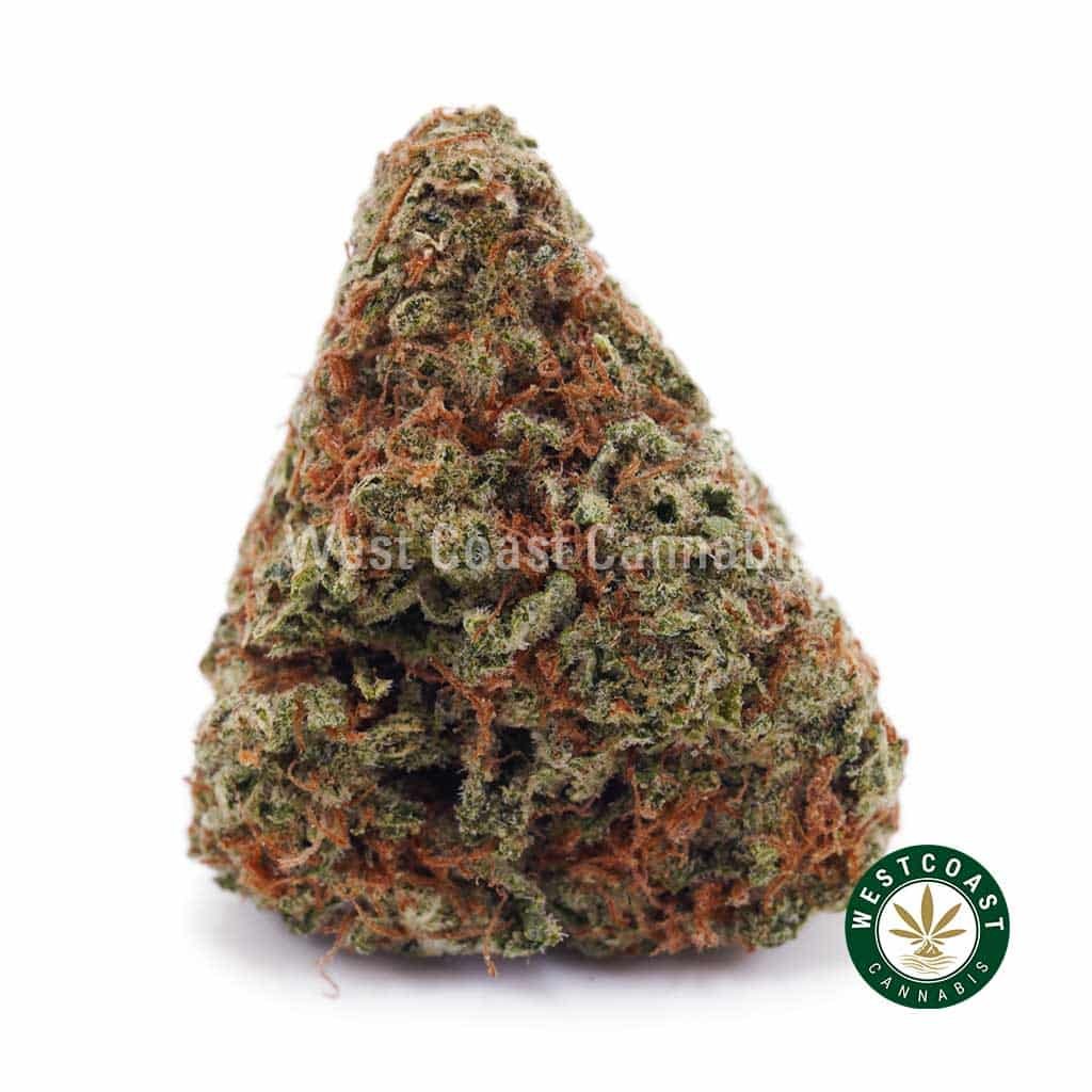 Girl Scout Cookies (GSC) AAA