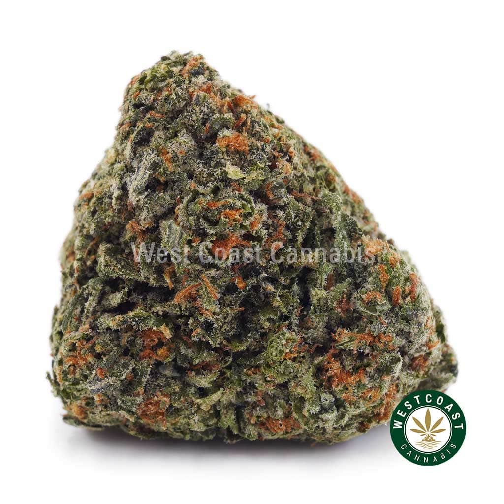Hindu Kush AAA
