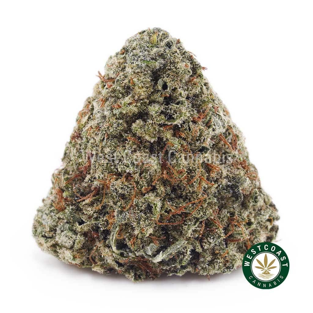 Kosher Kush AAA
