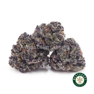 Purple Trainwreck AAAA (Popcorn Nugs)