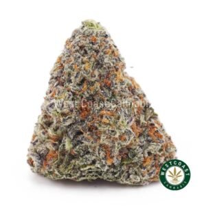 Strawberry Kush AA
