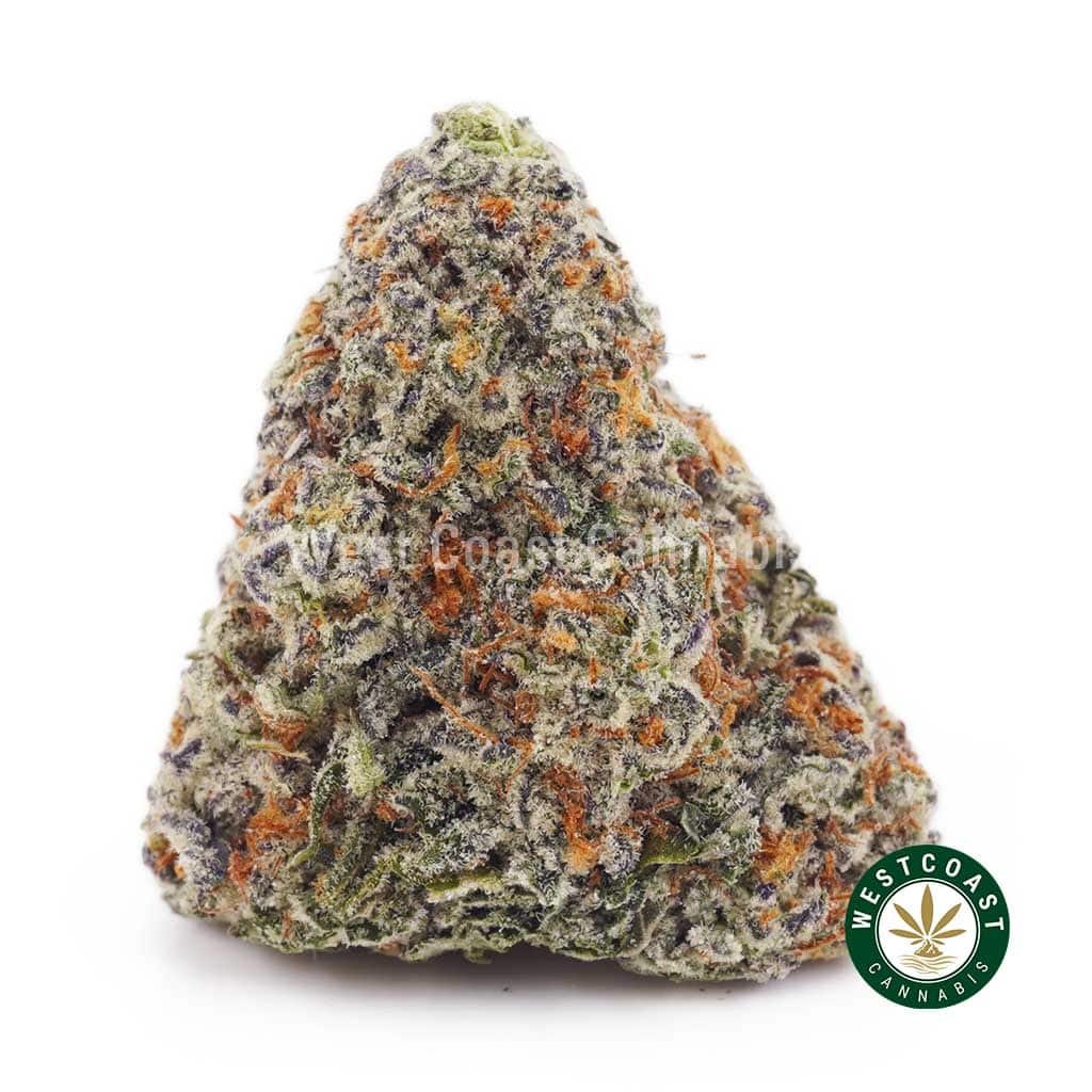Strawberry Kush AA