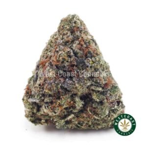 Sundae Driver AA