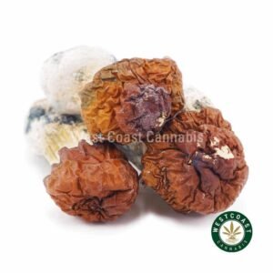Shrooms – Texas Yellow Caps