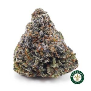 Gas Strains