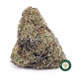 White Skunk AAAA