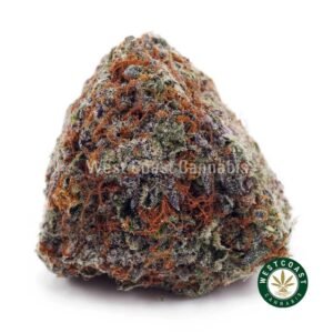 Supreme Grape God AAAA+