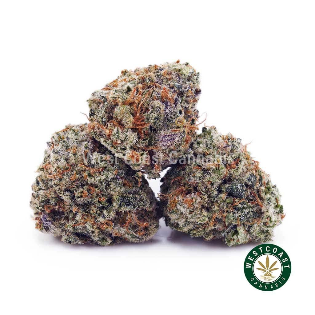 Guava Bomb AAAA (Popcorn Nugs)