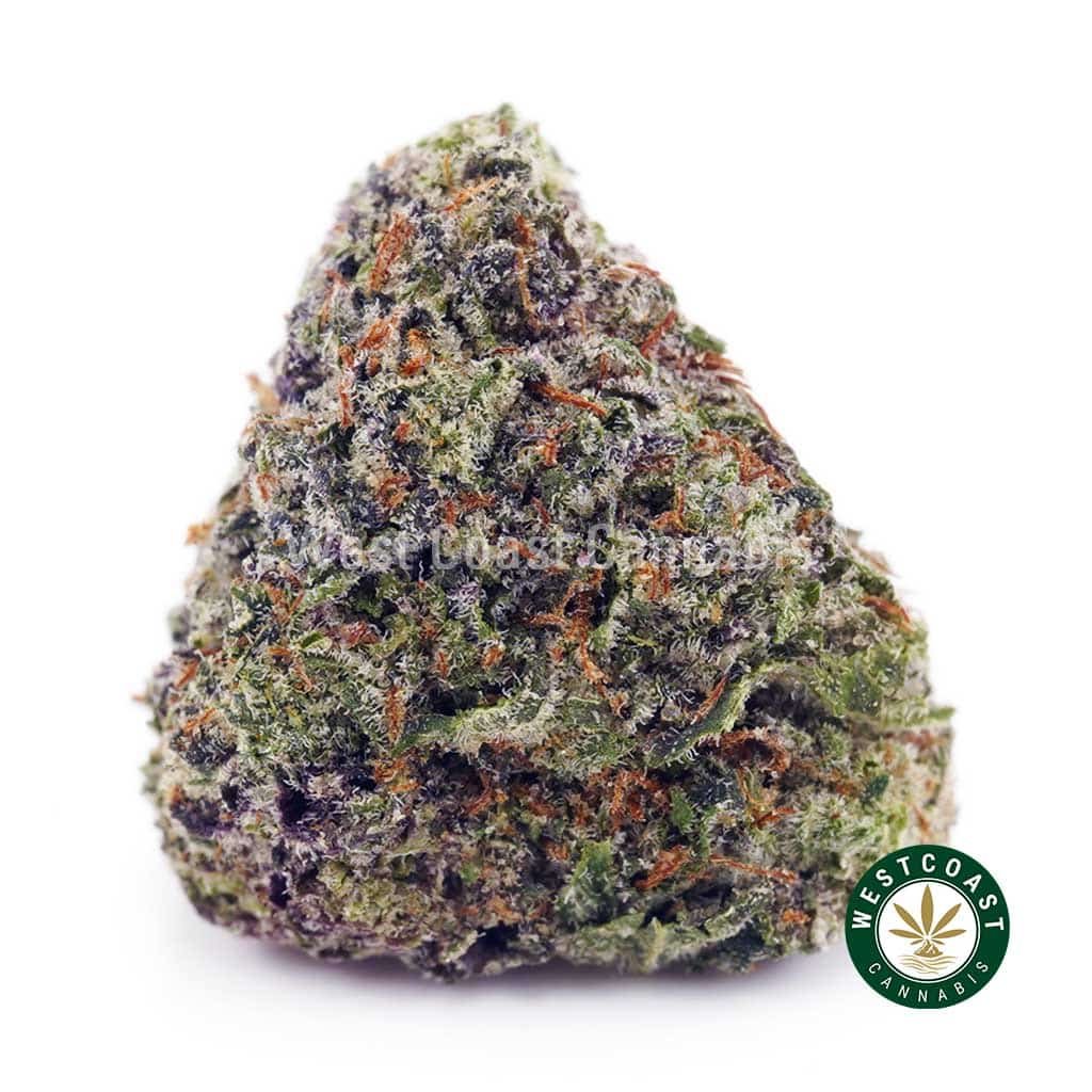 Pink Rockstar AAAA