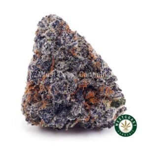 Budzilla AAAA+