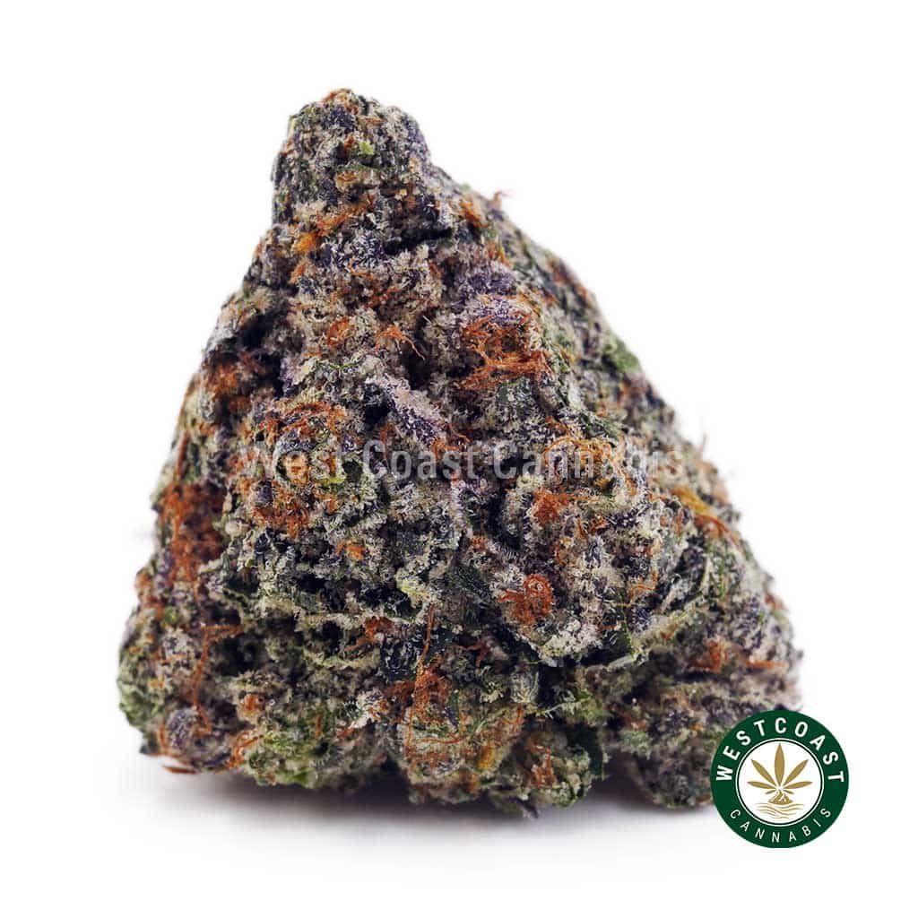 Bruce Banner AAAA