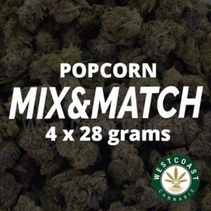 Popcorn Buds